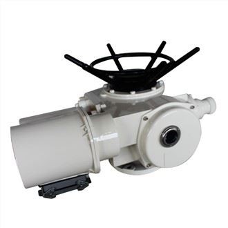 ATTWATUR DZW 180-24-A00-WK GĦAL LP STEAM