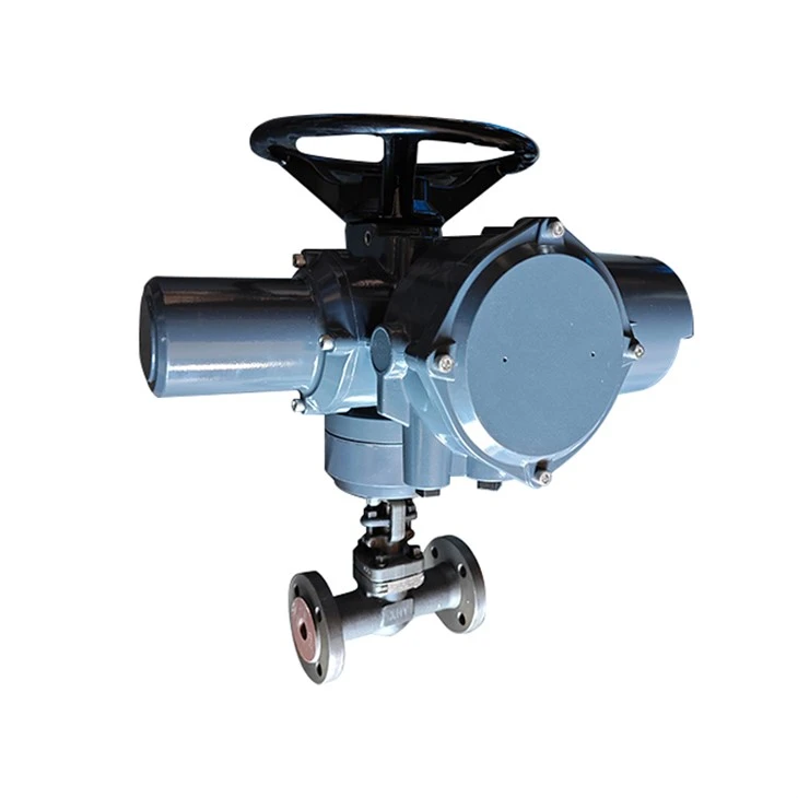 1inch High Temperature Globe Valves ANSI API