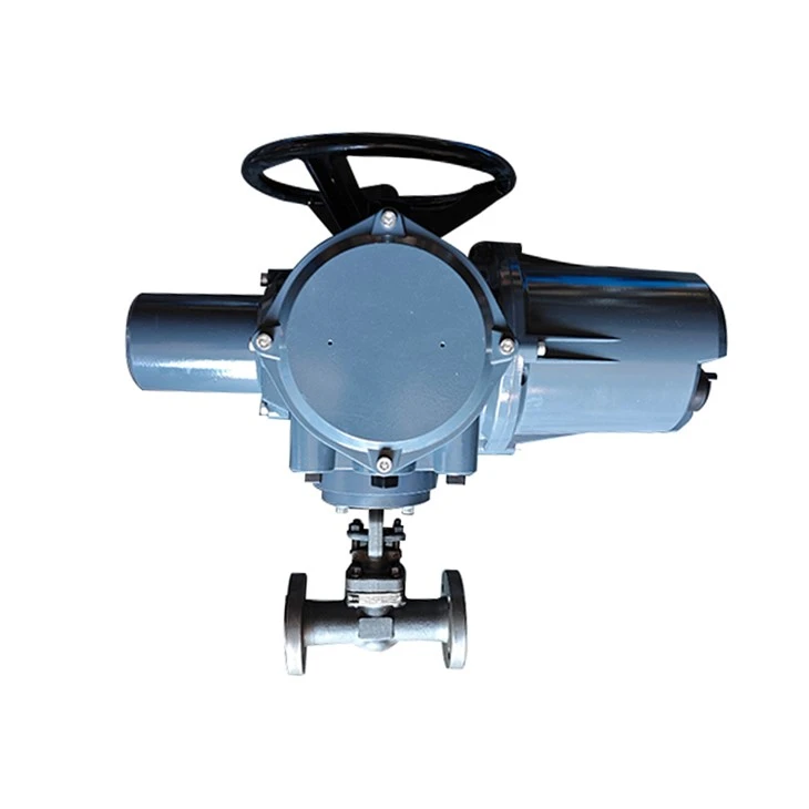 1inch High Temperature Globe Valves ANSI API