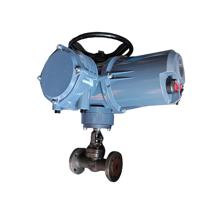 1inch High Temperature Globe Valves ANSI API